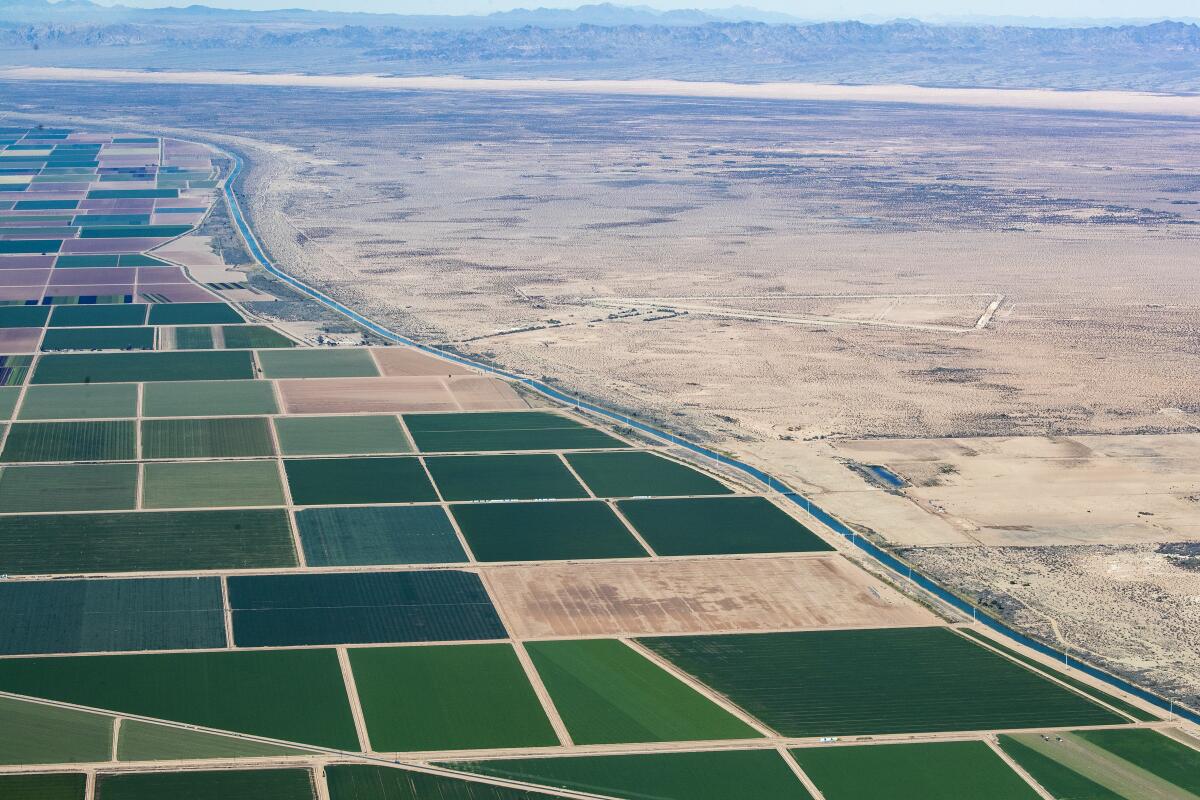 Farm fields irrigated with Colorado River water line up against the open desert in California's Imperial Valley.