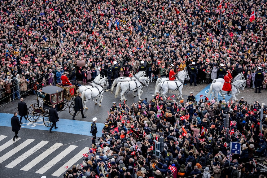 A wide shot of eight white horses pulling a black royal carriage as thousands gather with red and white Danish flags