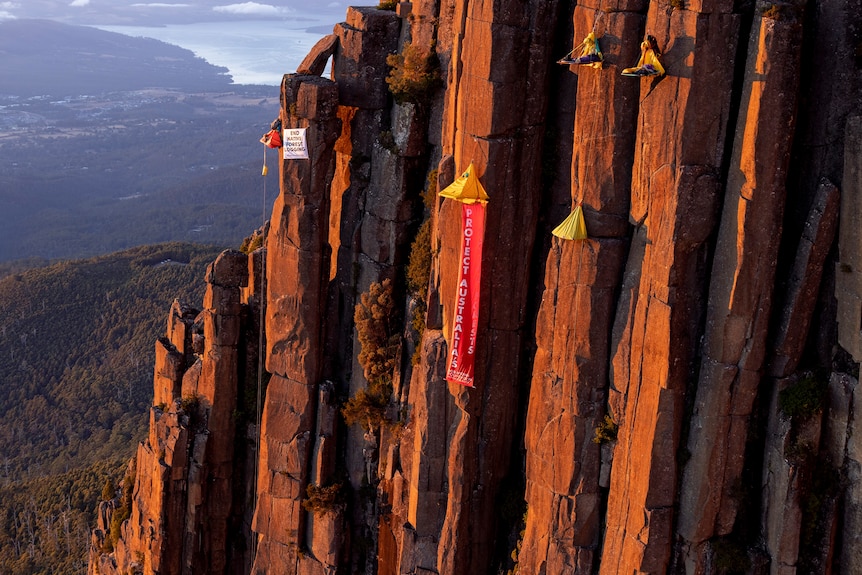 Climbers on platforms hanging off a cliff face protesting against native forest logging in Tasmania.