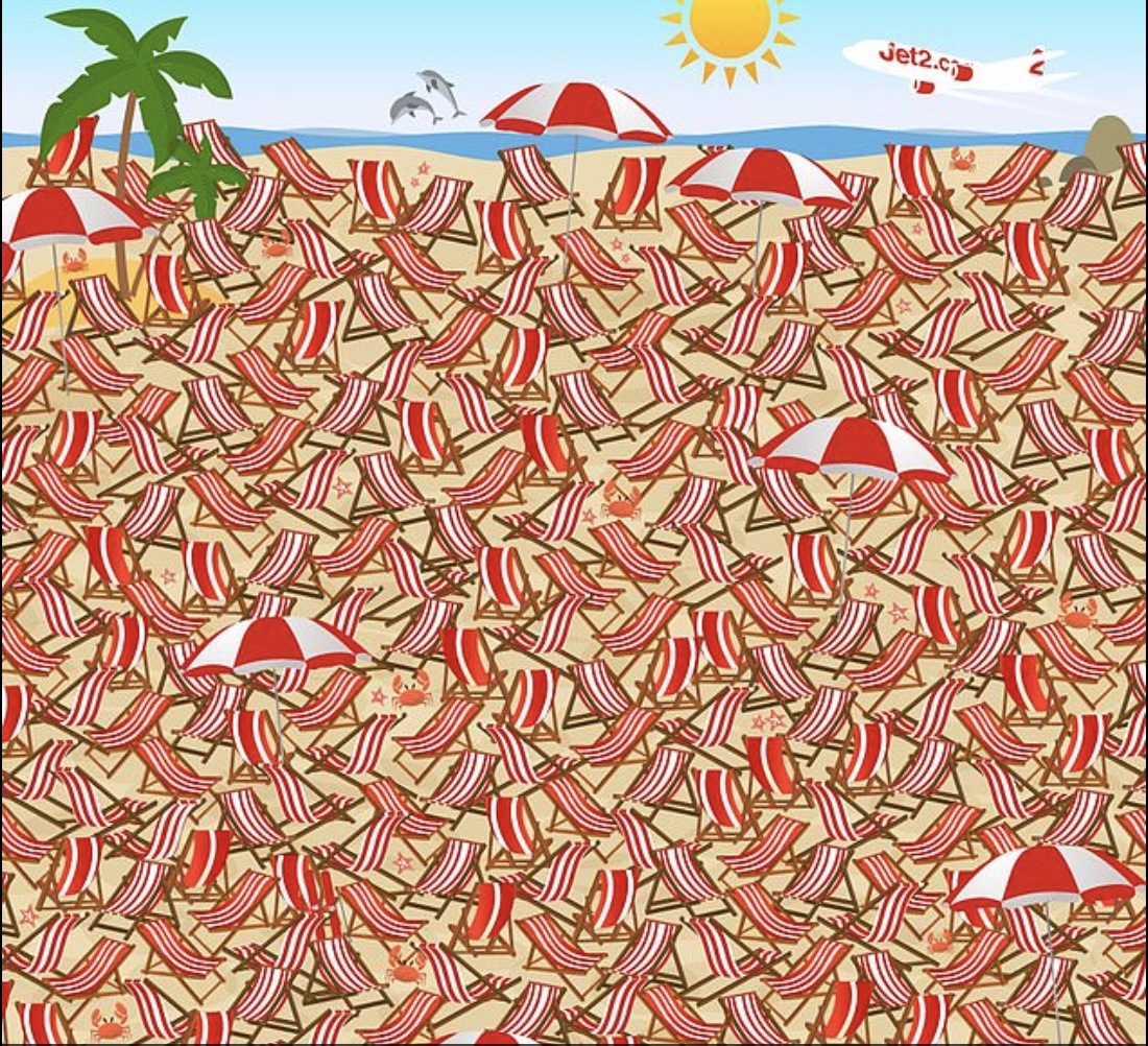 A pair of skis has been hidden in this brain teaser