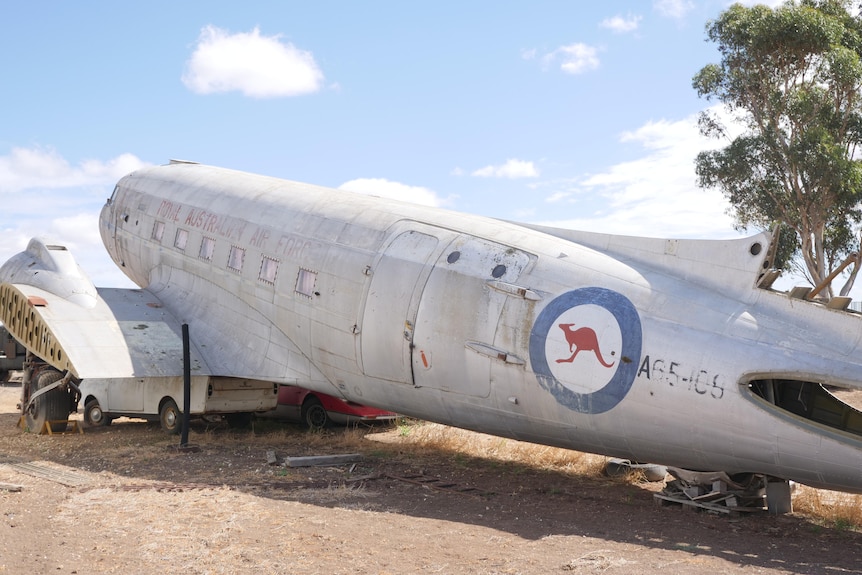 A large grew plane with wings clipped sits against a blue sky bearing the red kangaroo air force symbol on tail
