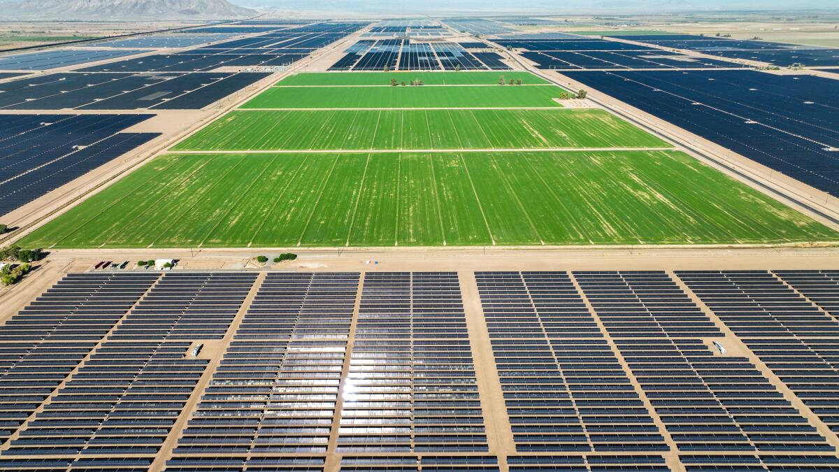 Solar projects surround Imperial Valley farmland, which is irrigated by Colorado River water.