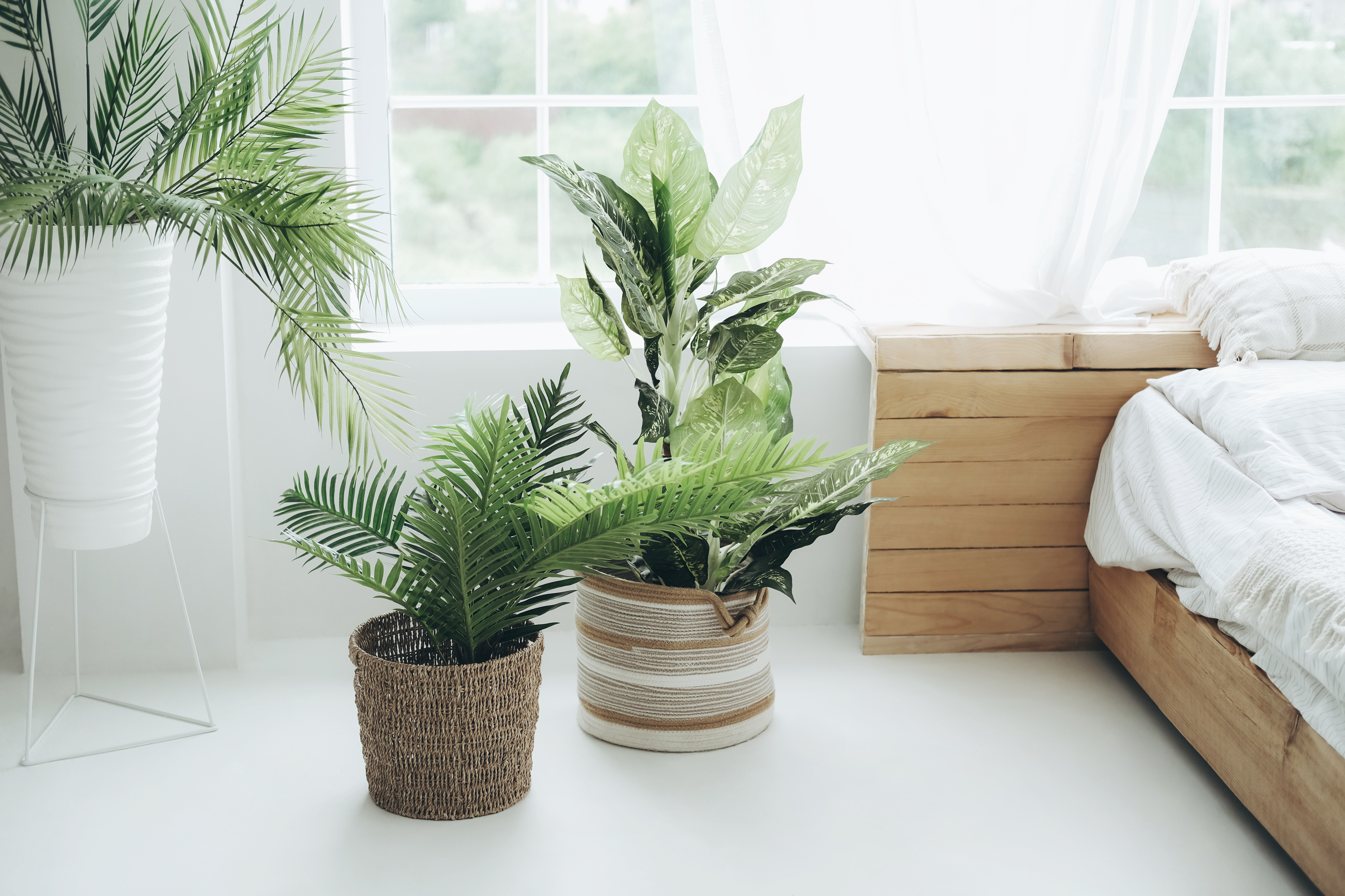 The interiors expert also urged people to avoid using faux plants