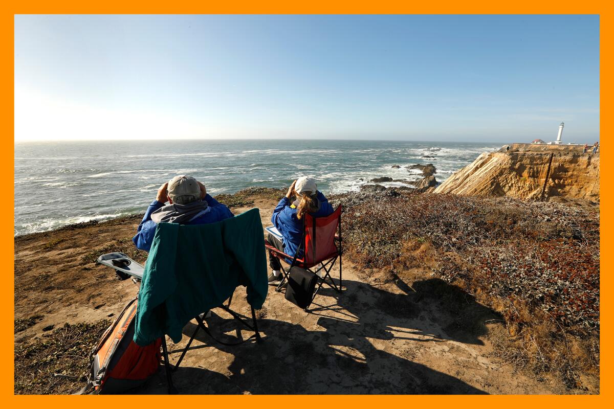 Two folks in fold-out chairs use binoculars to look for whales in the distant ocean.