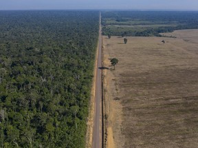 FILE - Highway BR-163 stretches between the Tapajos National Forest, left, and a soy field in Belterra, Para state, Brazil, on Nov. 25, 2019.