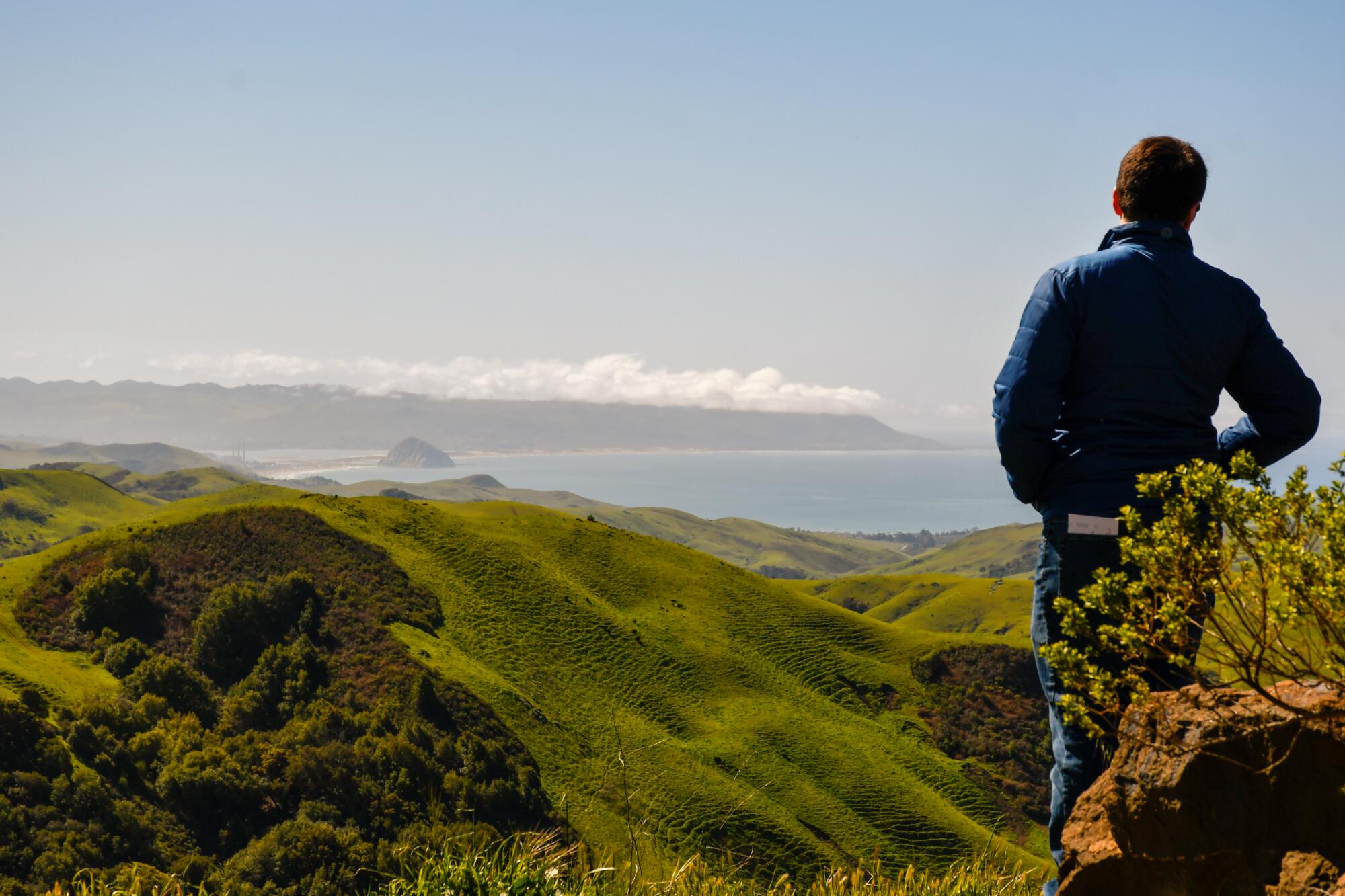 A person looks over the hills while standing along Highway 46, west of Paso Robles.