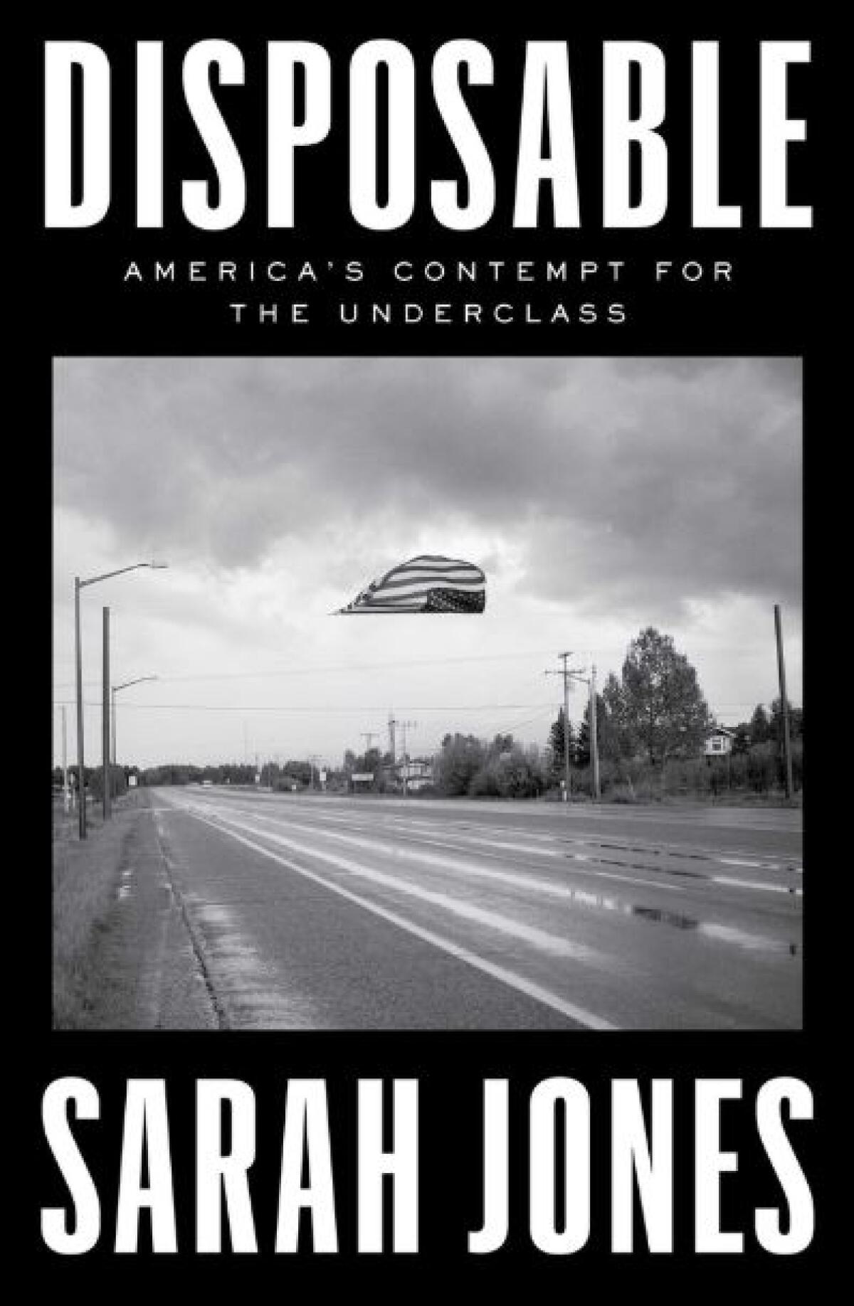 Cover of "Disposable"