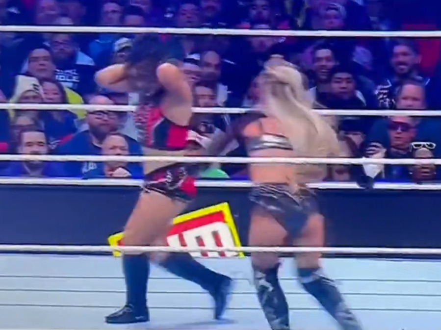 Screenshot of two female wrestlers in a WWE match.