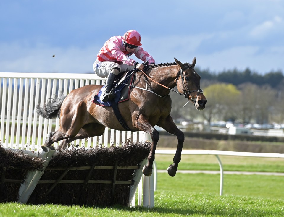 A jockey on a horse jumping a hurdle.