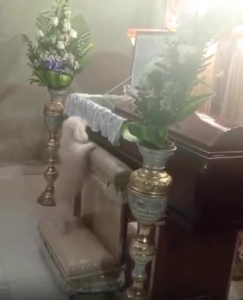 Dog jumping into its owner's coffin at a funeral.