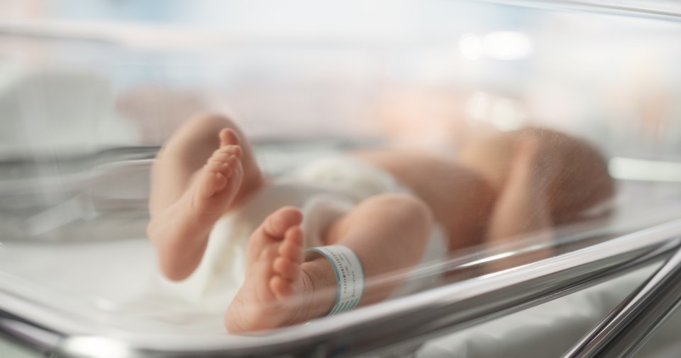 Newborn baby's feet in a hospital bassinet.