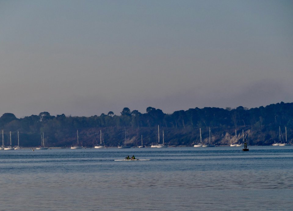 Two people rowing a boat on calm water near sailboats and a shoreline.