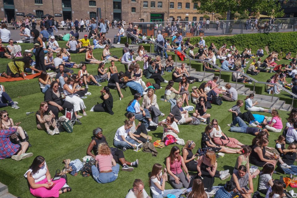 People relaxing on a grassy area in the sun.