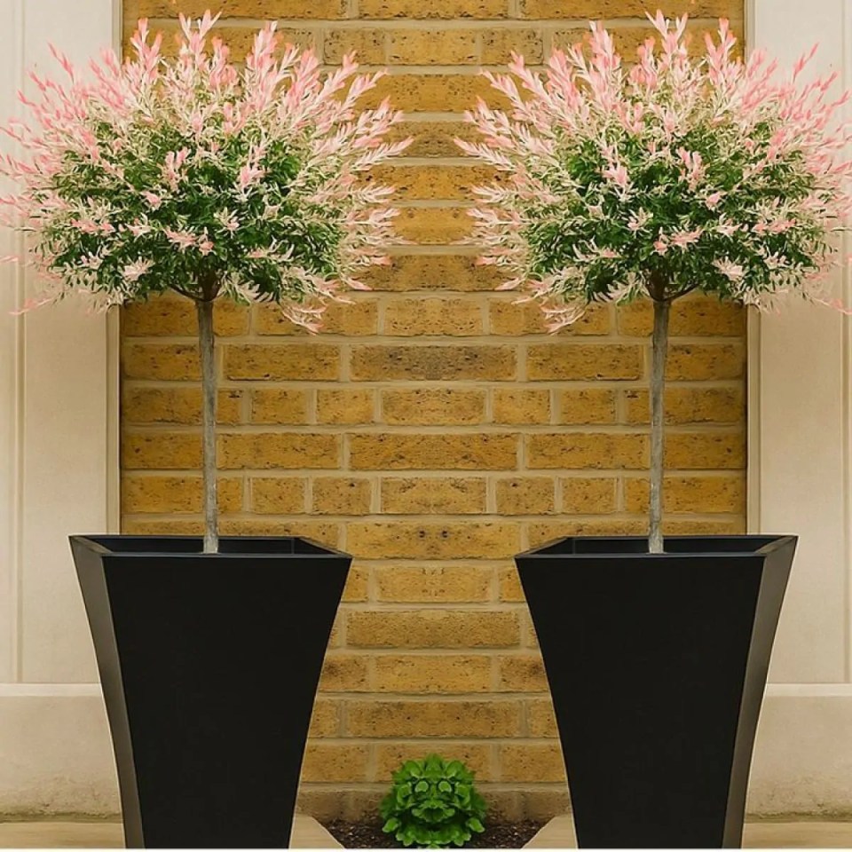 gardening-express-two-flamingo-topiary-trees