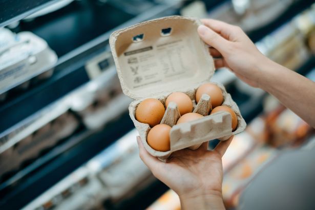 Eggs can be brought back from your hols 