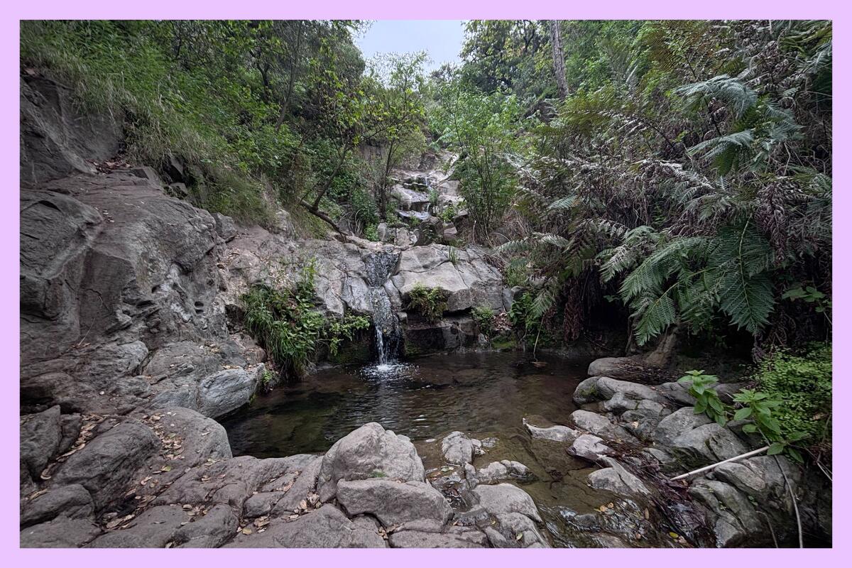 Sycamore Canyon Falls is a multitier 55-foot waterfall near Newbury Park.