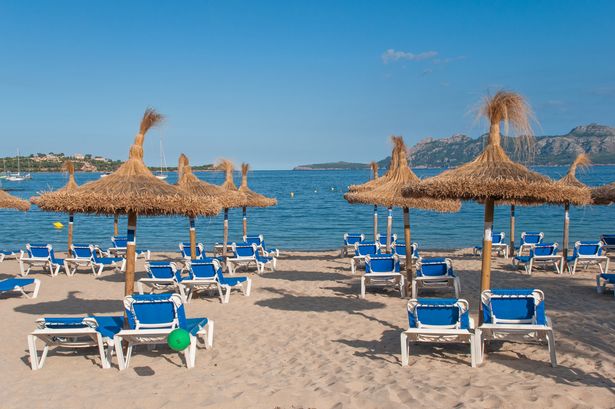 Pollensa beach with sunbeds & raffia parasols facing the Mediterranean sea