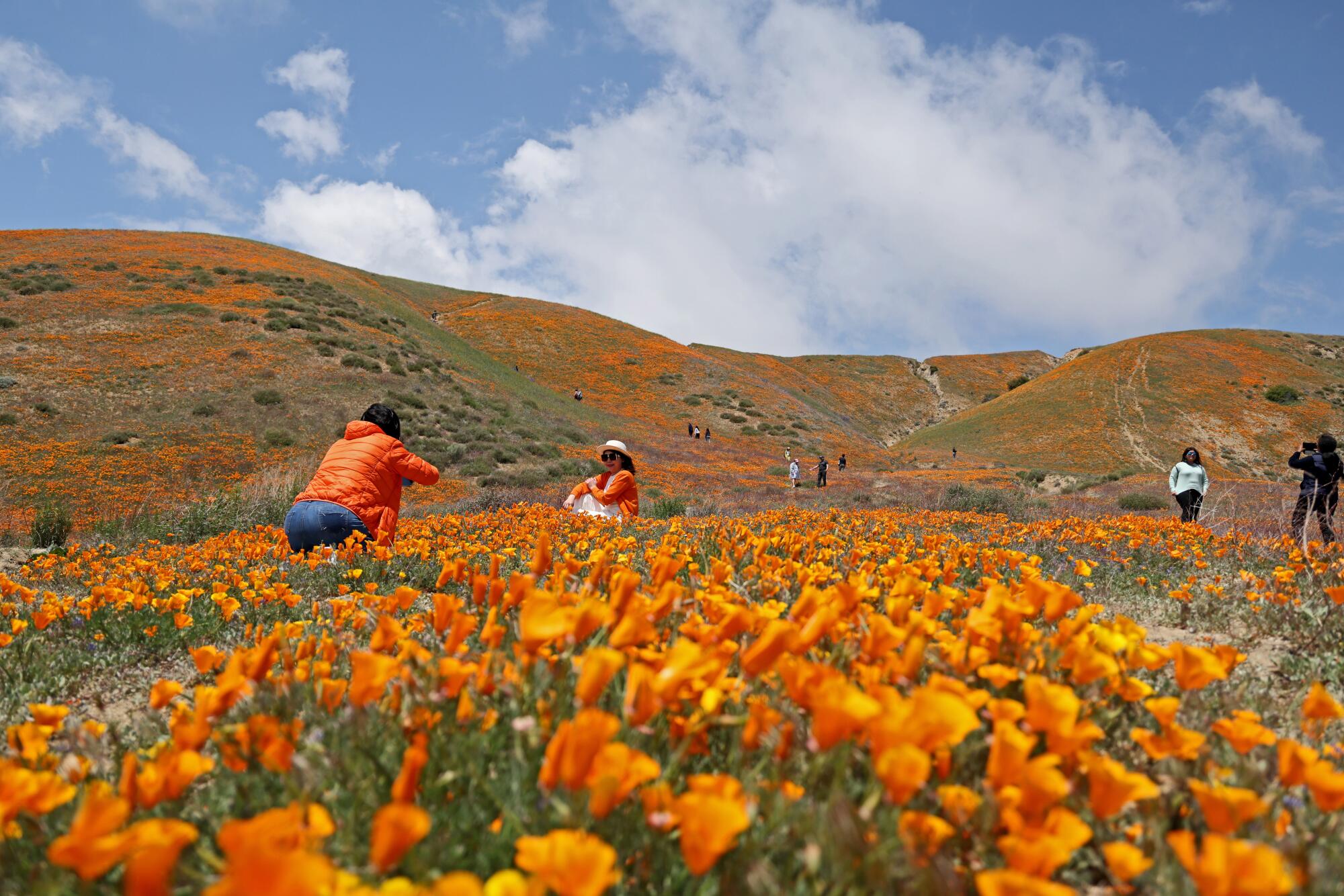 If you decide to see the bloom at Elizabeth Lake, make sure to leave no trace.
