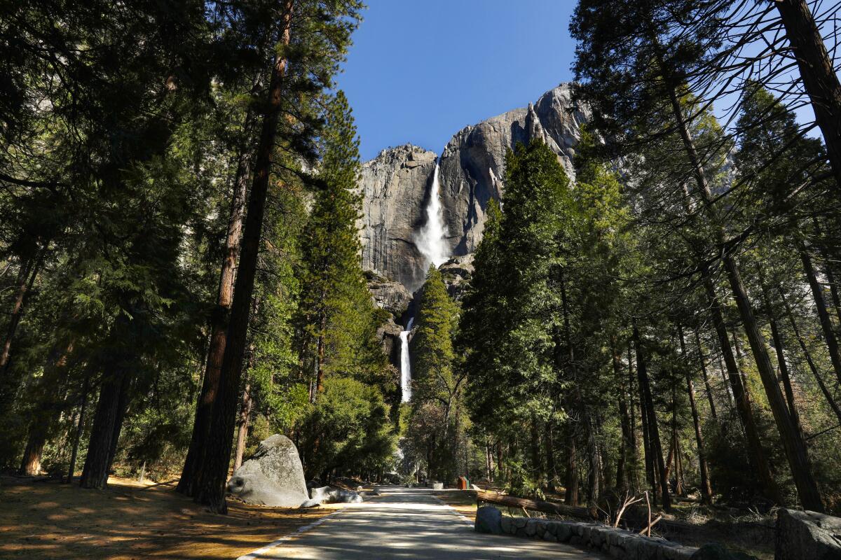 Yosemite Falls in Yosemite National Park.
