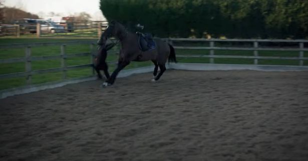 Molly-Mae was thrown from her horse