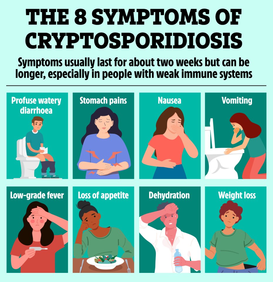 Illustration of eight symptoms of cryptosporidiosis.