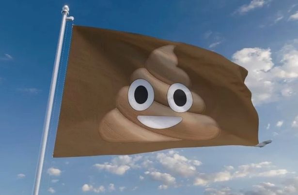 Brown flag award
