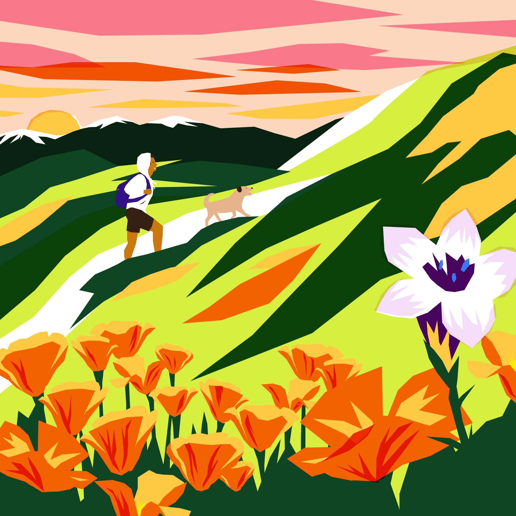 An illustration of a hiker and their dog making their way up a hill.