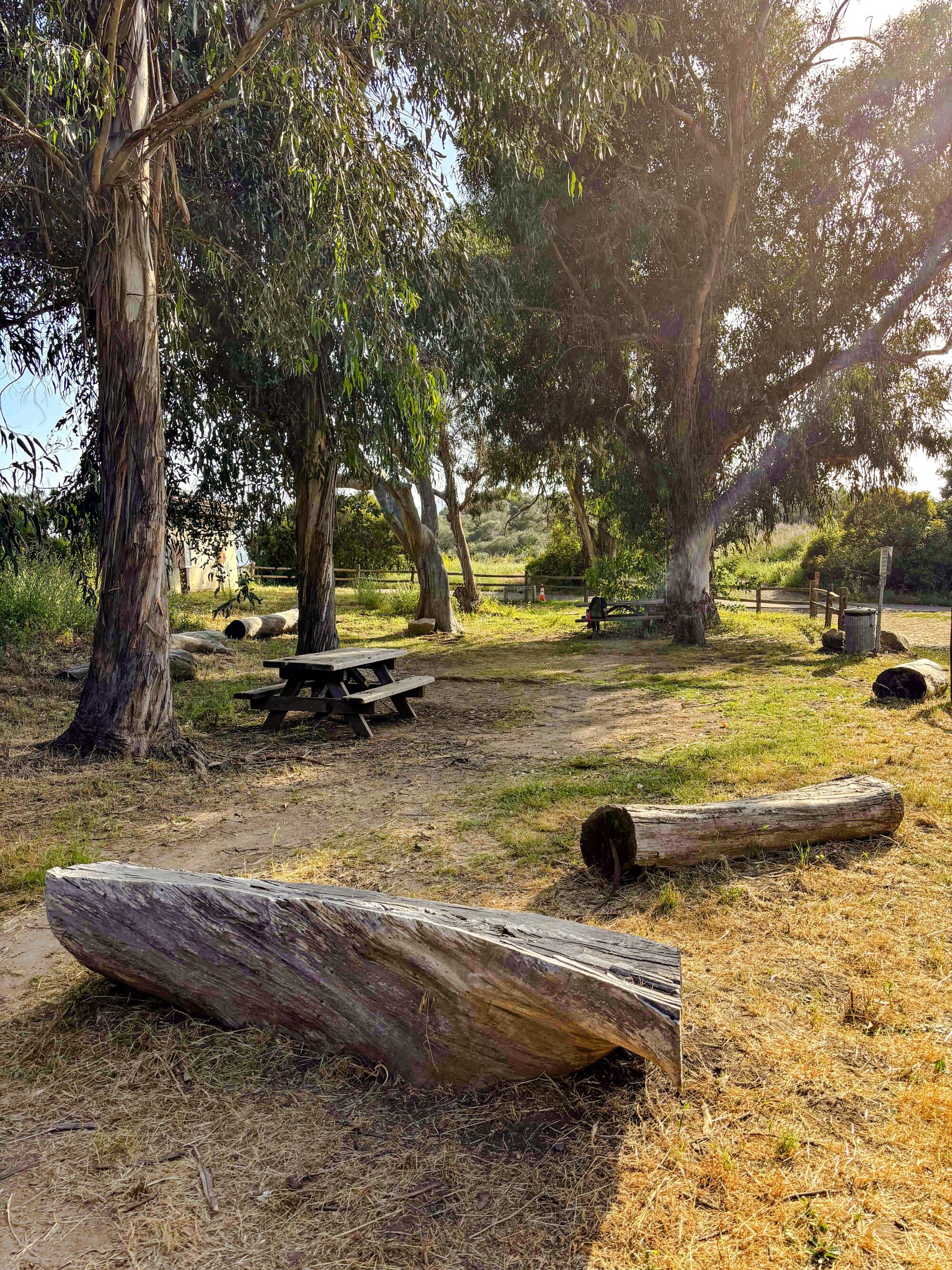 The Musch Trail Camp is a small but charming site in Topanga State Park.
