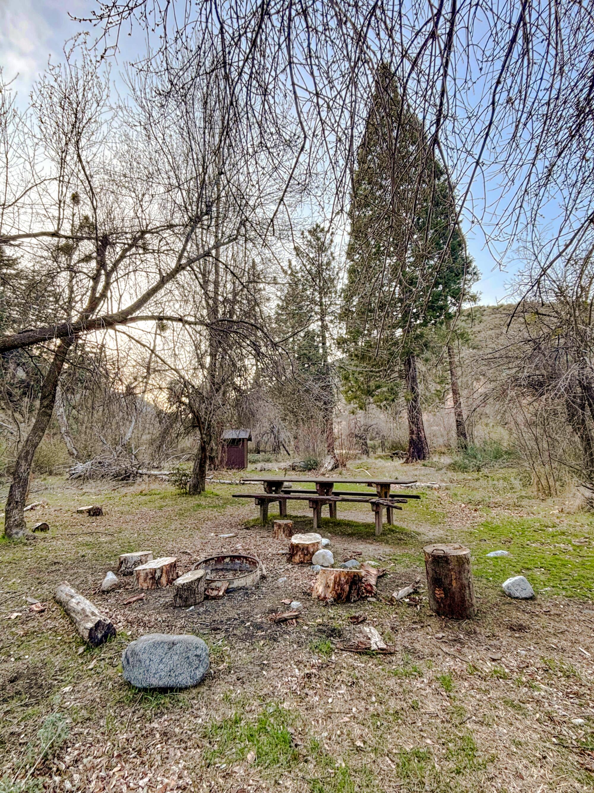 One of a handful of sites at the Valley Forge Trail Camp in Angeles National Forest.