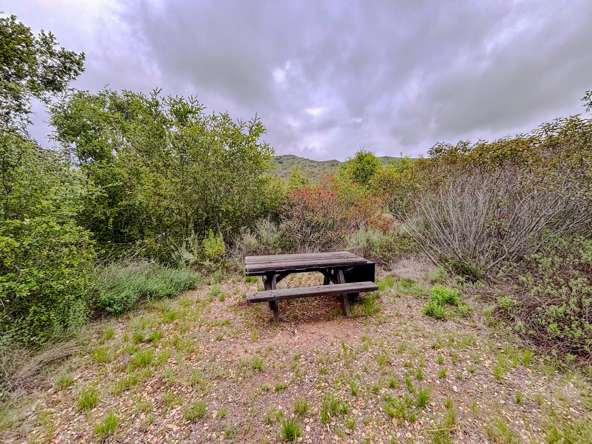 The campsites at La Jolla Walk-In Campsite are rustic but provide privacy and clear views of the night sky.