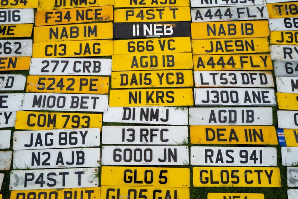 Collection of British number plates on the grass.