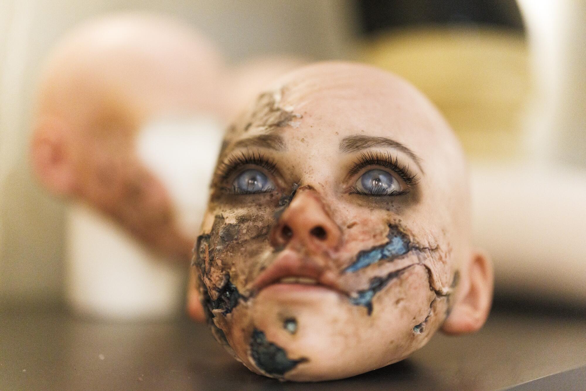 A doll's head displays skin damage and a metallic skull.