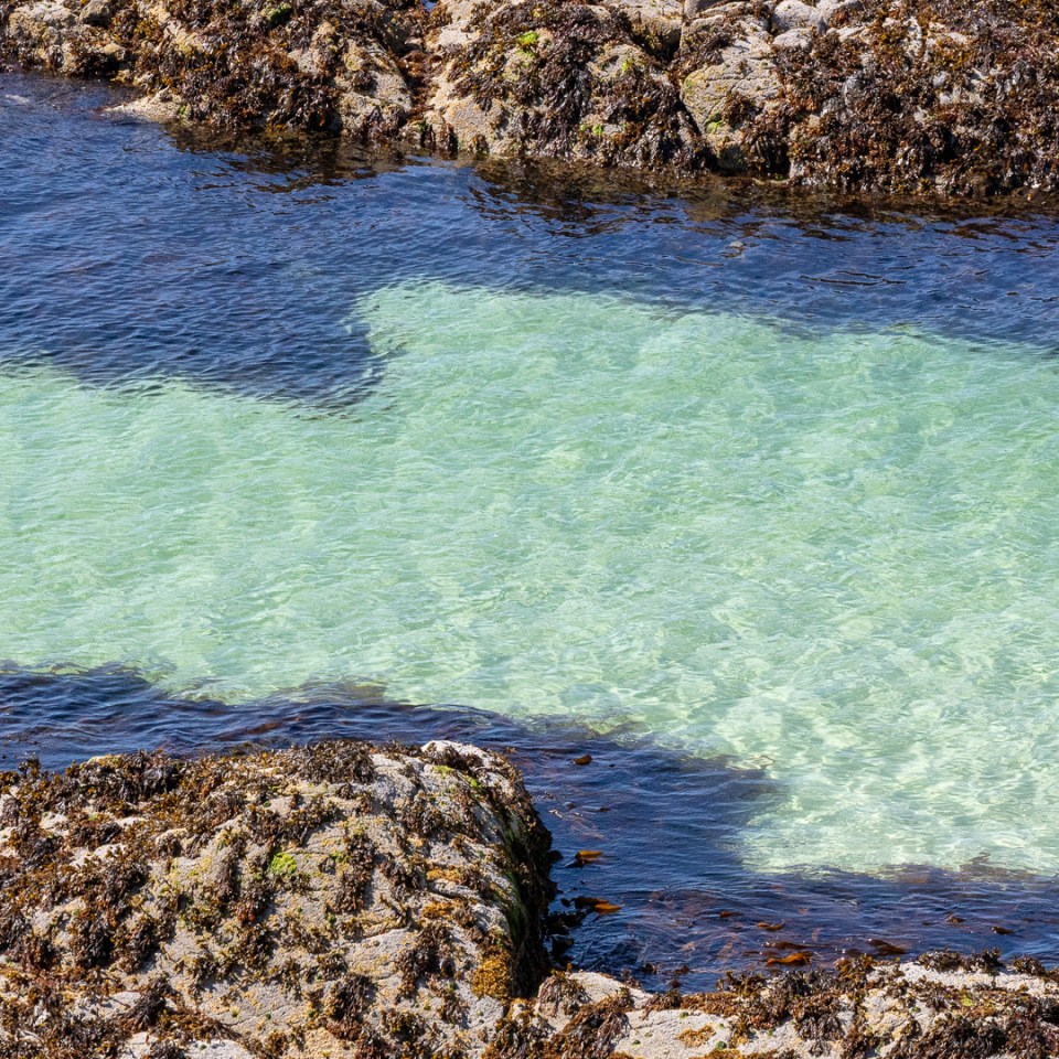 Shallow, clear water in a rocky cove.
