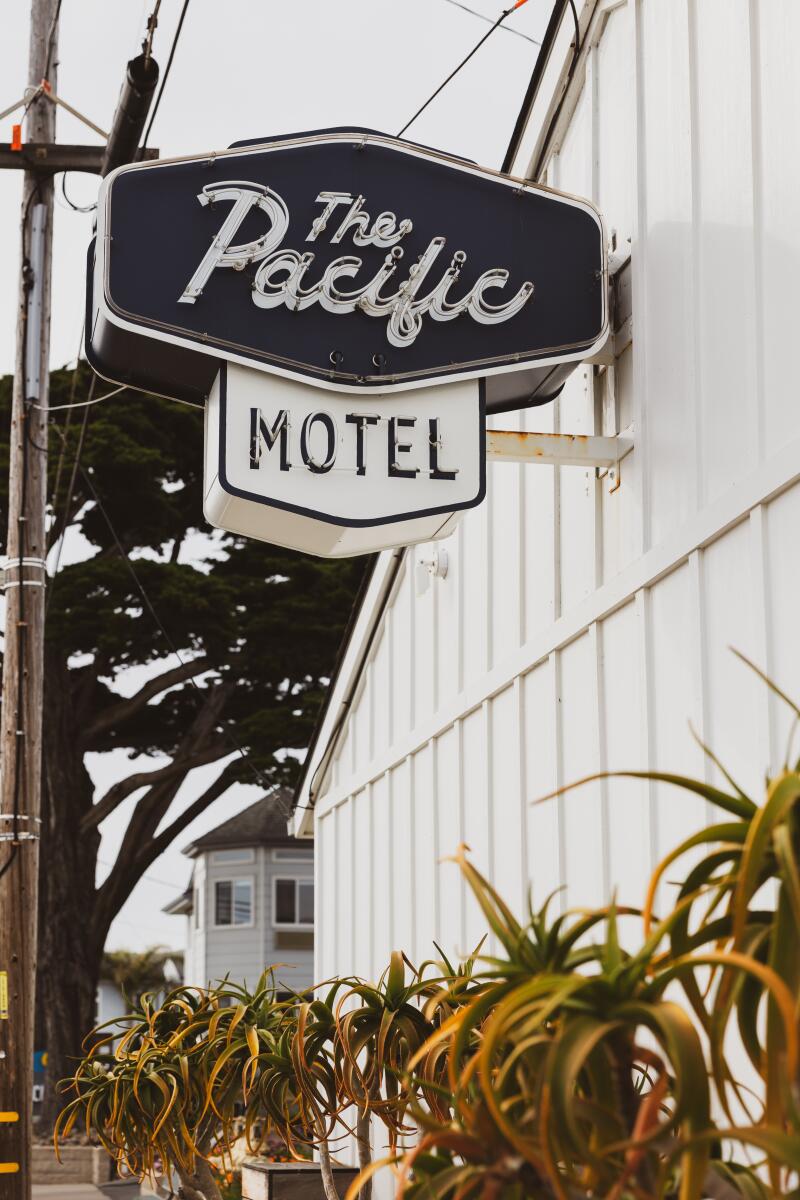 Scenes from the The Pacific Motel.