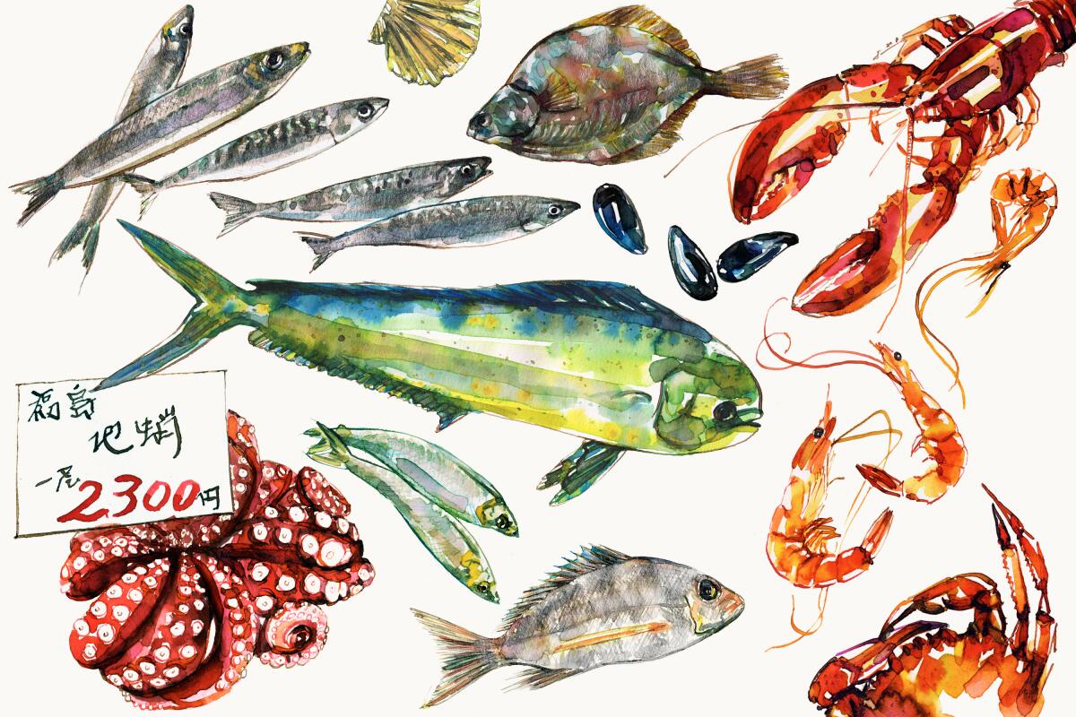 Watercolor illustration of several kinds of fish