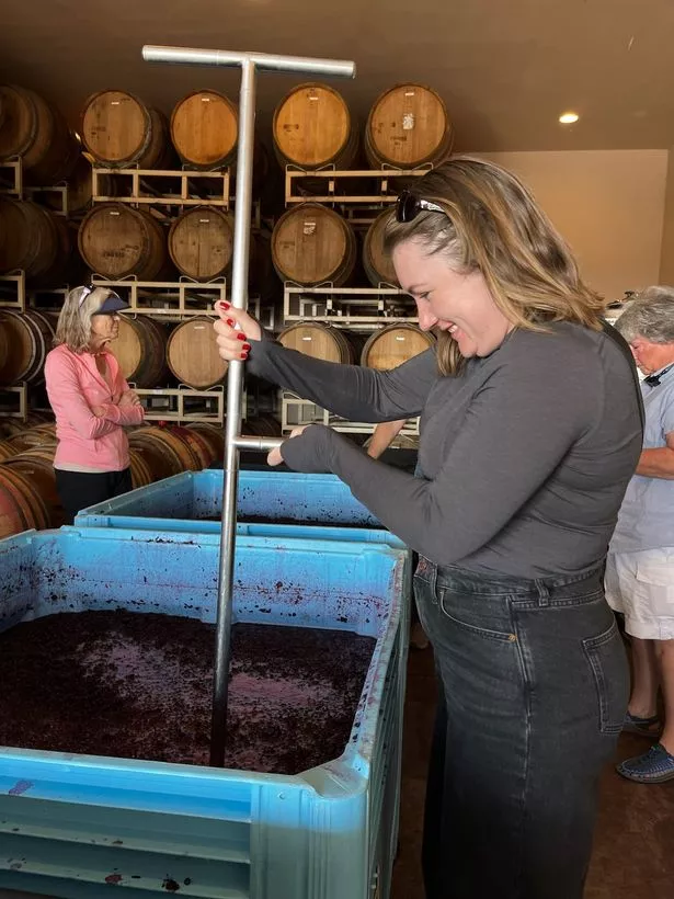Writer Laura Hill 'Punching' down the grapes as part of the wine making process on the harvest tour