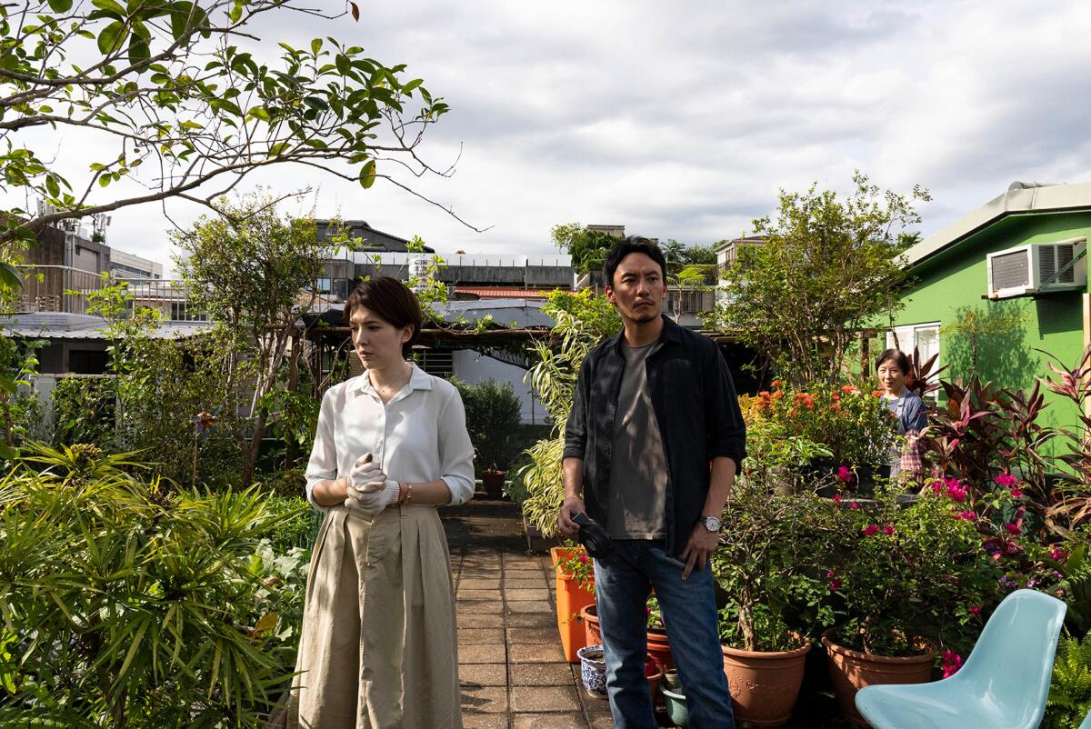 A woman and a man stroll in a garden.