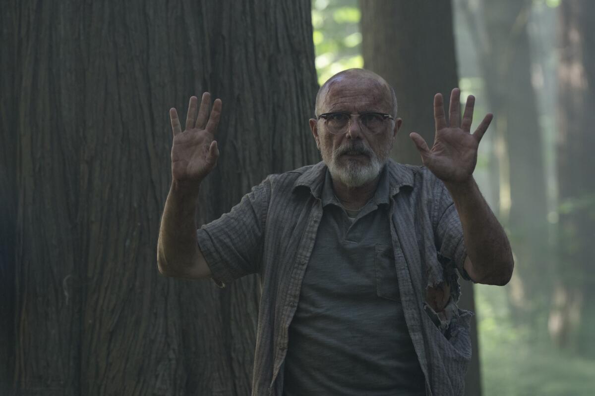 An older, balding man with glasses stands in a wooded forest with his hands up near his face.
