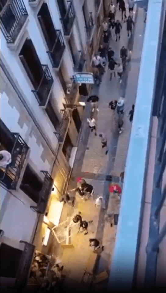 English fans brawling in San Sebastian.