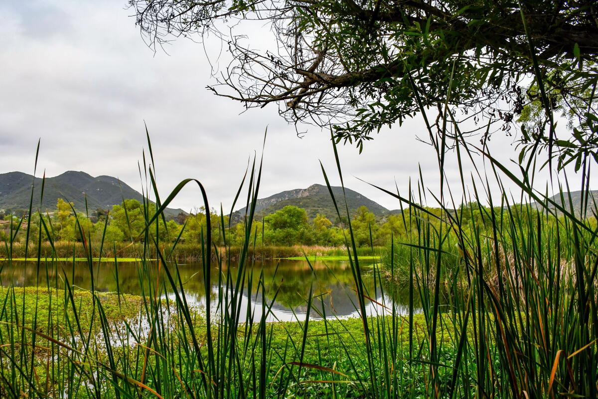 Kumeyaay Lake.