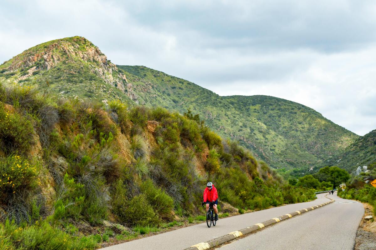 Father Junipero Serra Trail runs alongside a stretch of the San Diego River.