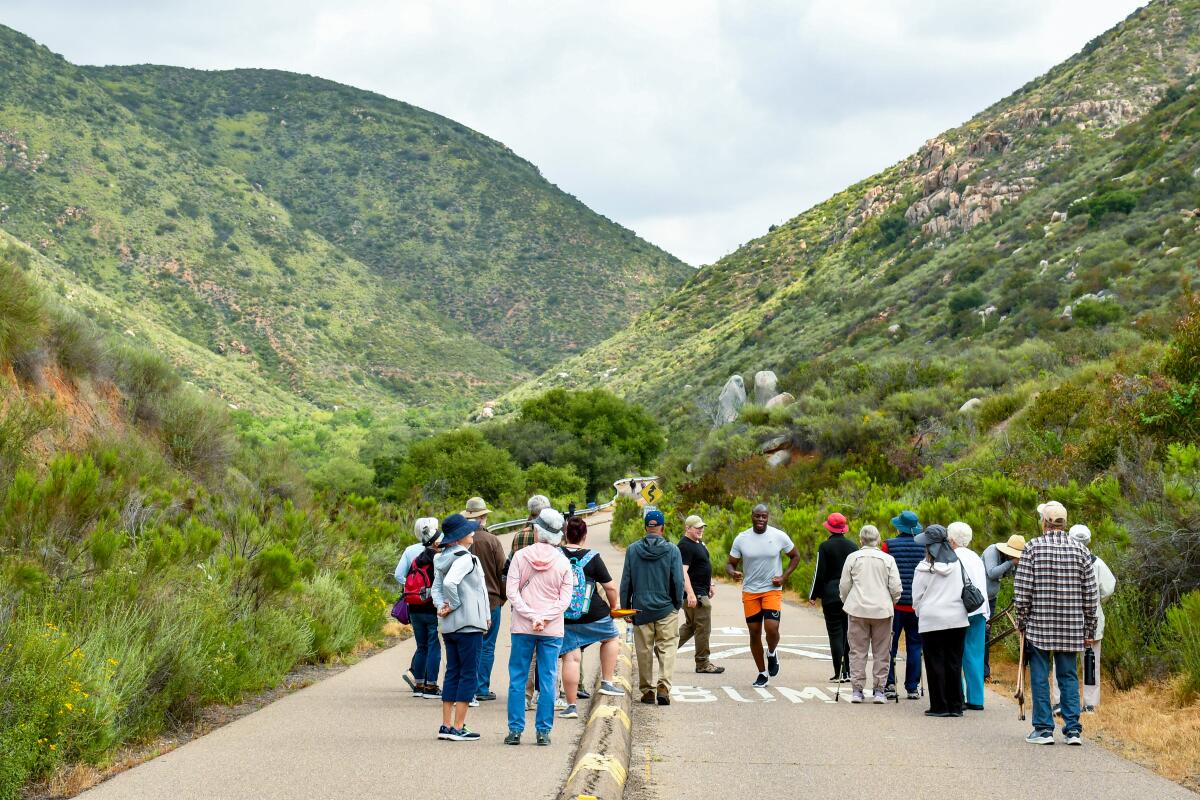 The long, flat Father Junipero Serra Trail is a great, easy hike for beginners.