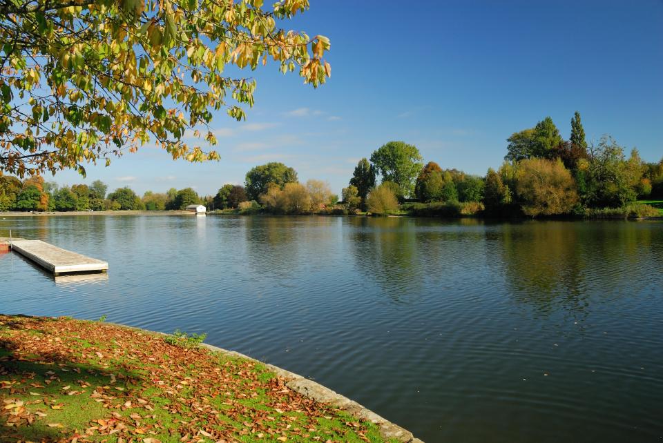 Autumn leaves on the grassy bank of a lake.