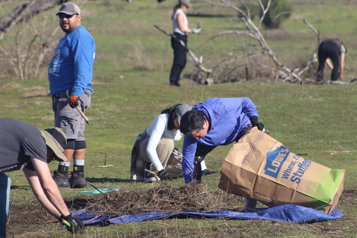 People standing and bending over cleaning up a field.