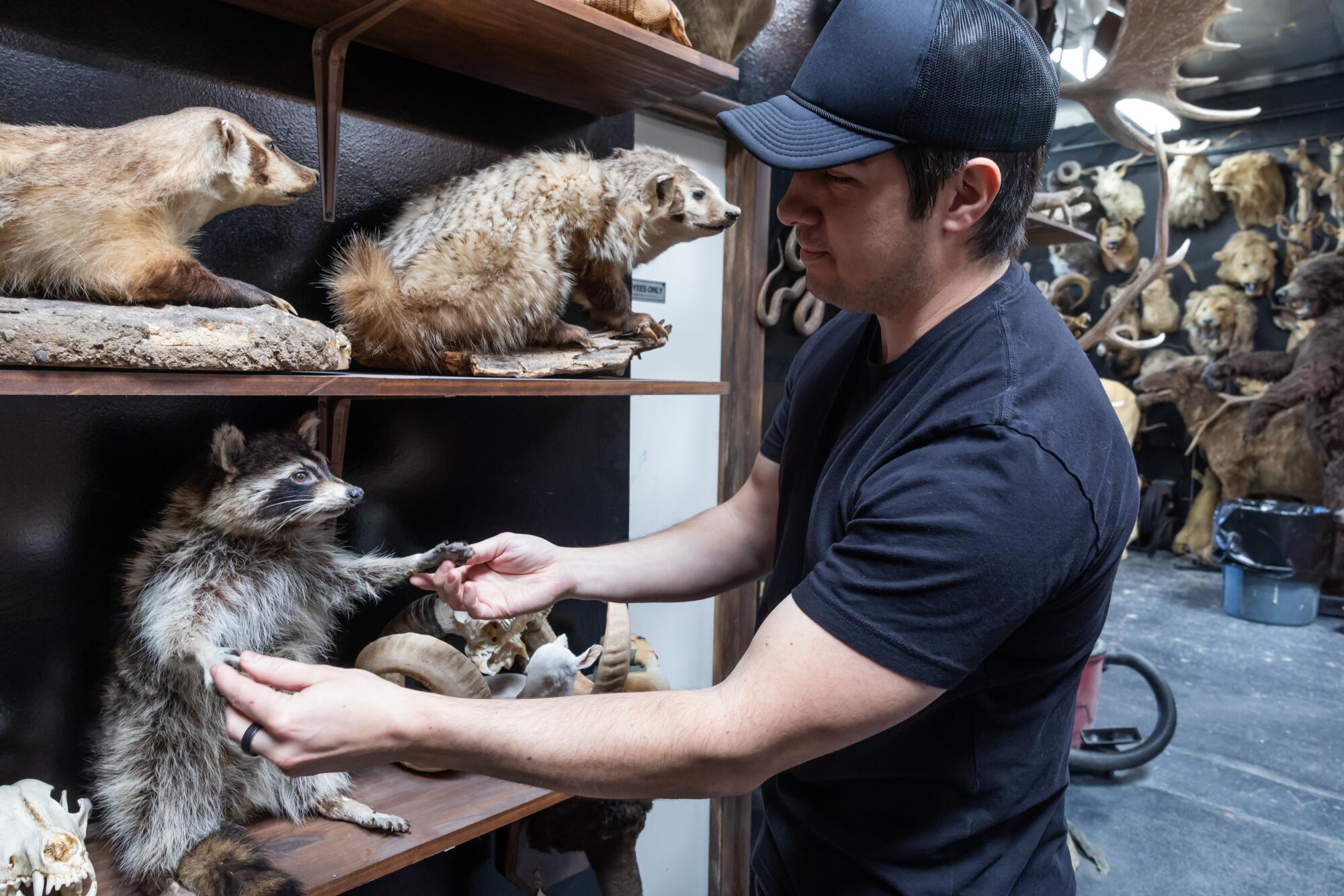 Bischoff's co-owner Ace Alexander had a songwriting career before transitioning to taxidermy.