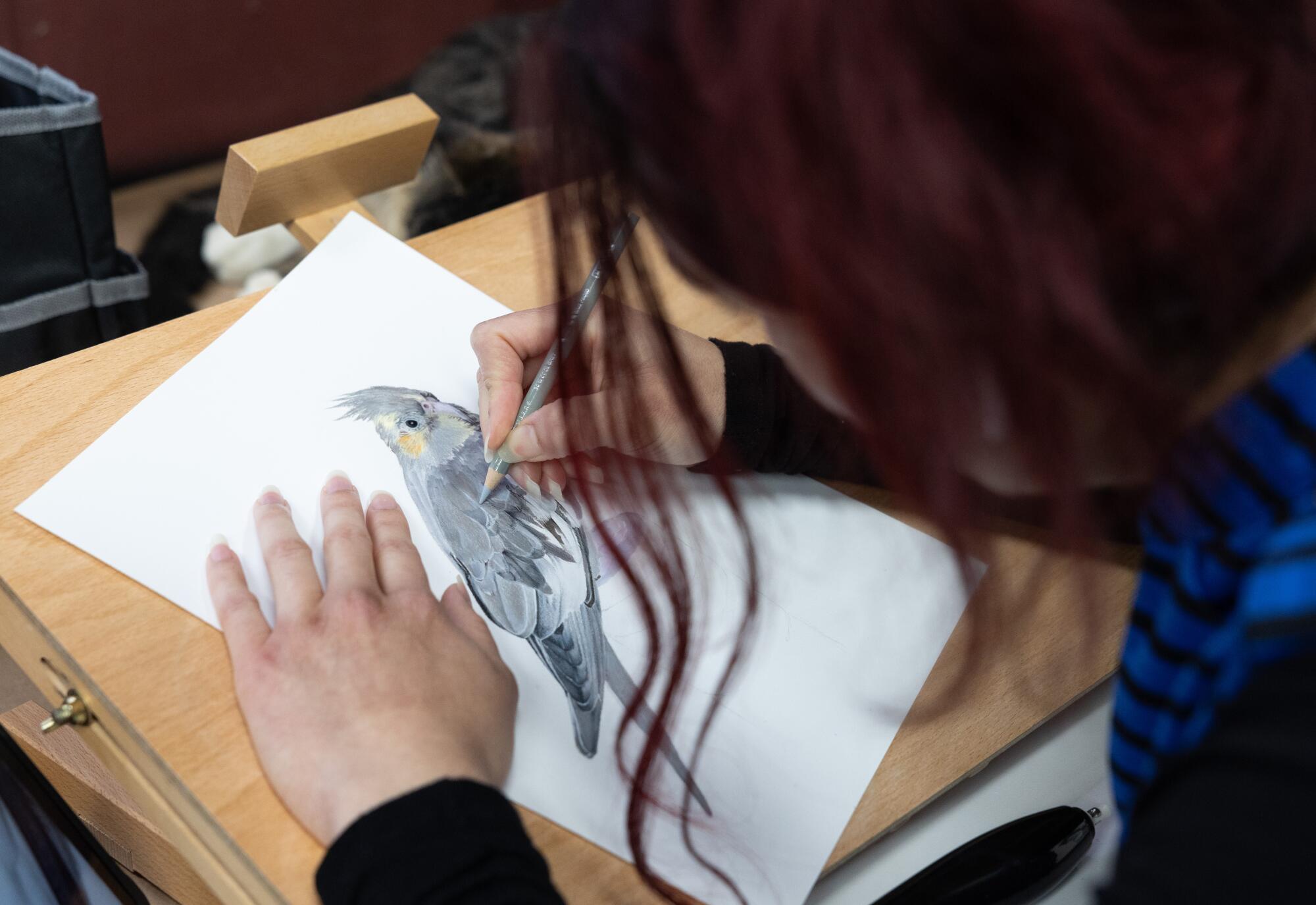 Bischoff's in-house artist Laischa Ramirez creates hand-drawn portraits of pets for owners who request it.
