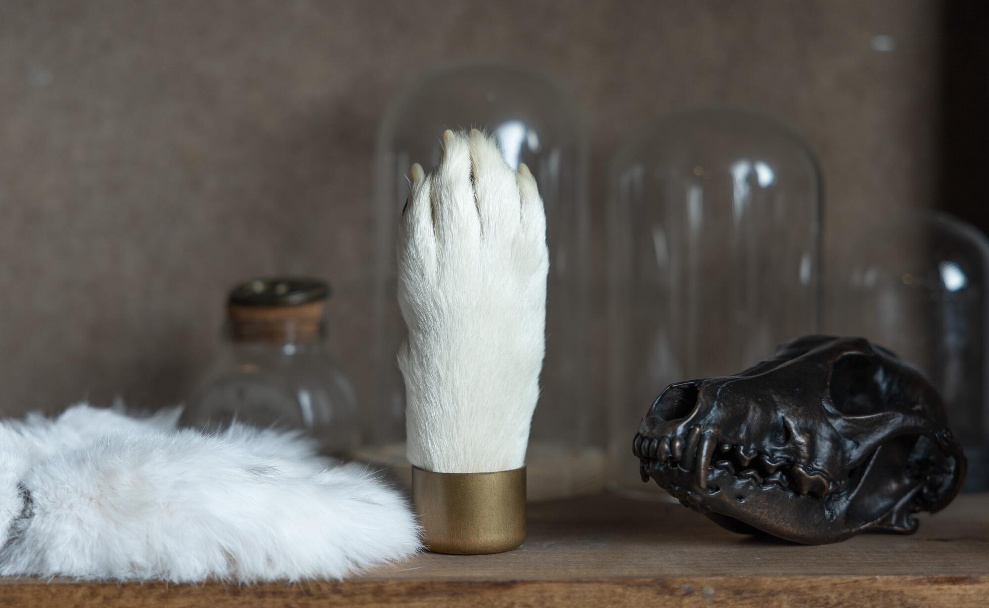Pelts, paws and bronzed skulls are among the smaller items purchased by pet owners.