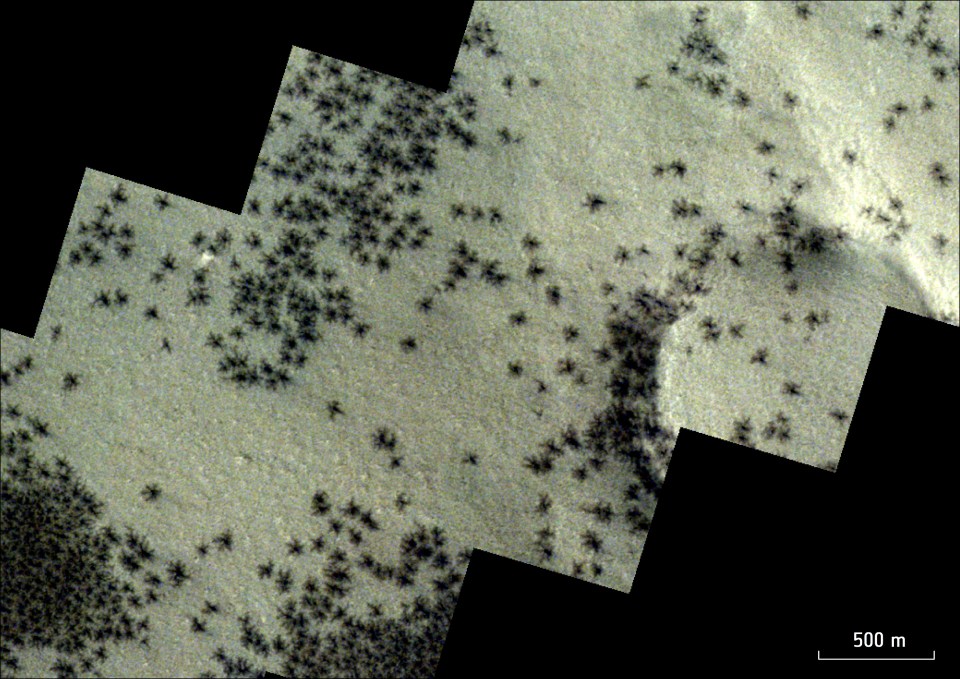 Satellite image of Martian surface showing dark, spider-like features.