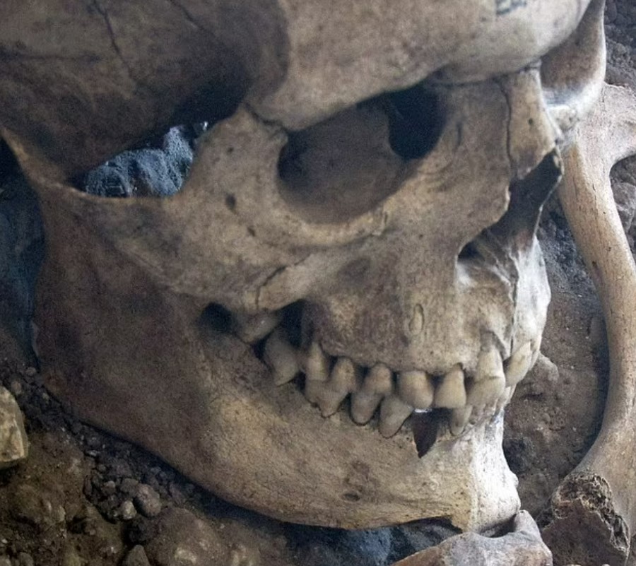 Close-up of a human skull in a mass grave.
