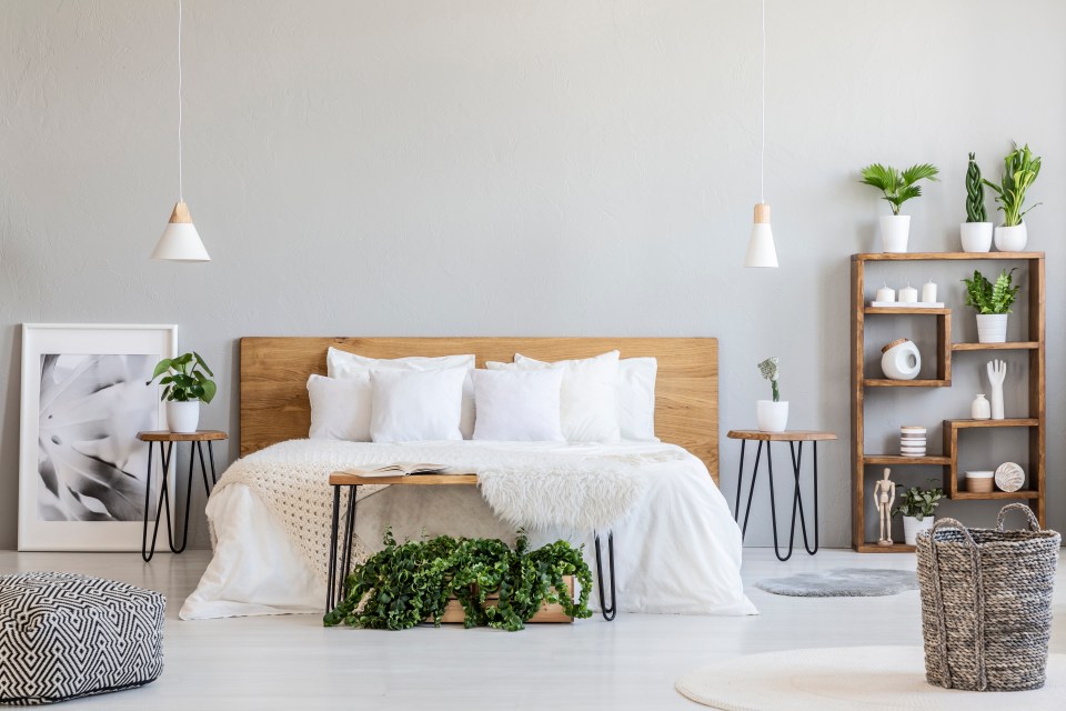 Bright bedroom with white bedding, wooden furniture, and plants.